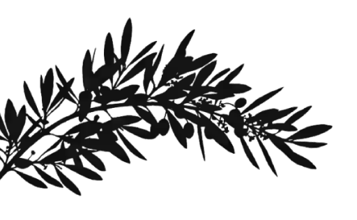 Decorator