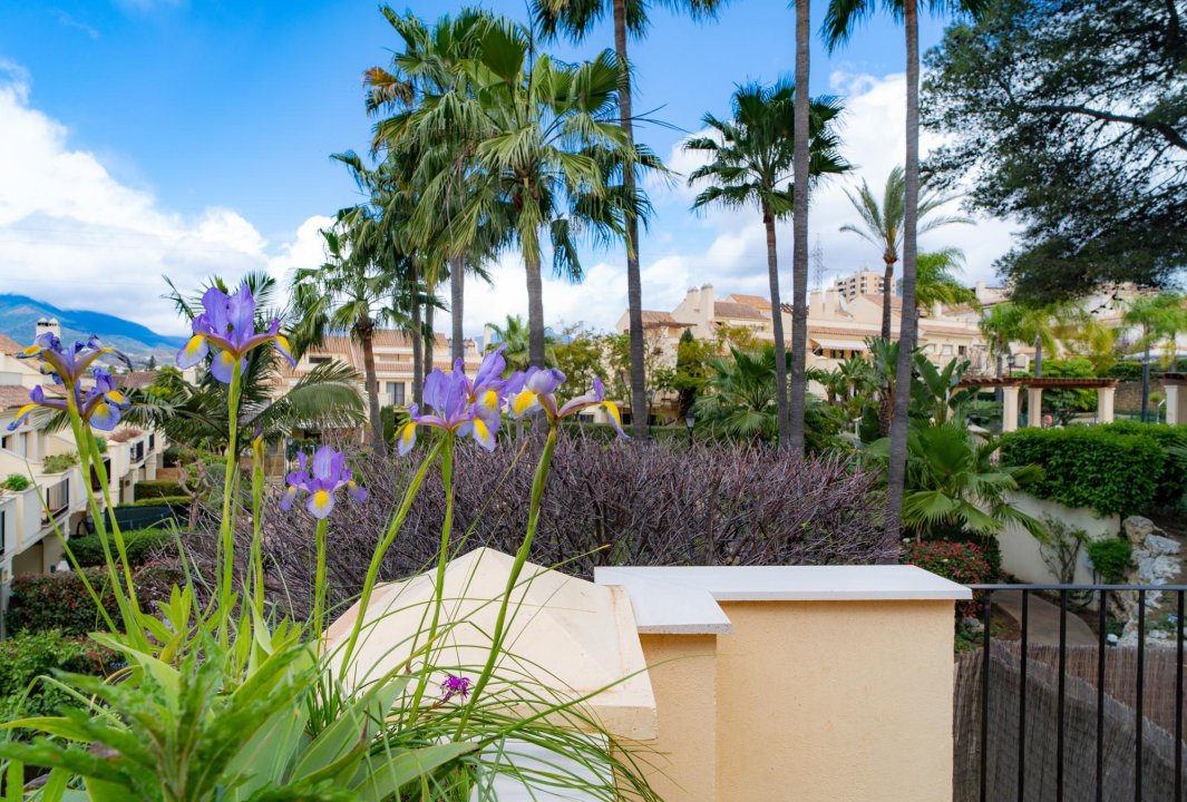 Hacienda El Palmeral: Large Family Home with 60m² Solarium and Private Garden - Image 42